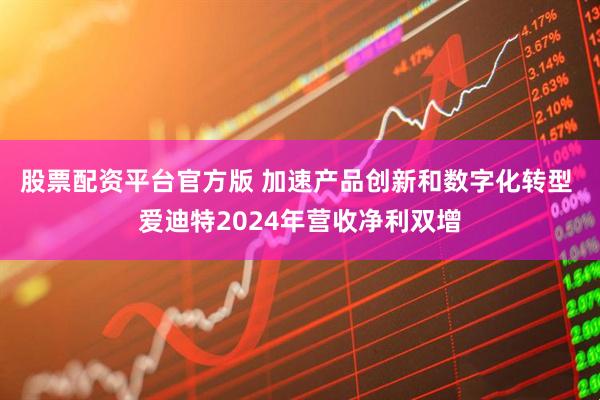 股票配资平台官方版 加速产品创新和数字化转型 爱迪特2024年营收净利双增