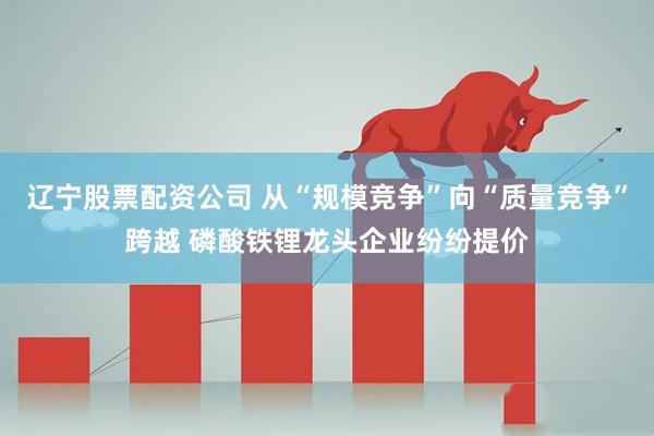 辽宁股票配资公司 从“规模竞争”向“质量竞争”跨越 磷酸铁锂龙头企业纷纷提价